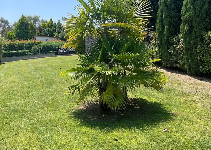 Serenity * Néoi Epivátai