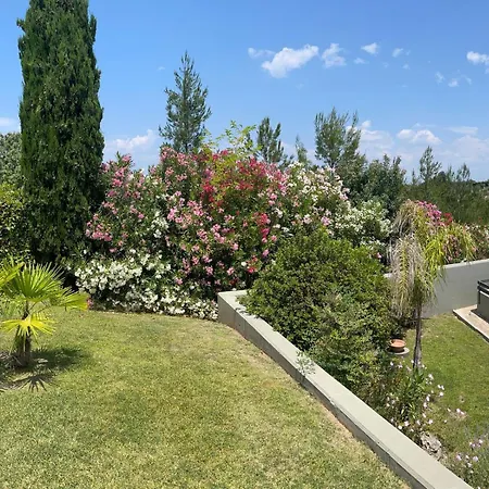 Villa Serenity